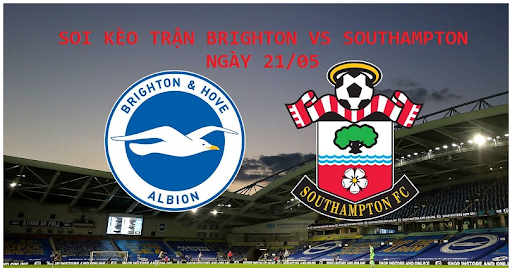 Nhận định, soi kèo bóng đá Brighton vs Southampton 21/5/2023